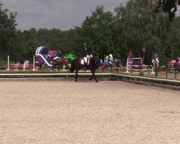 Reitturnier Hamm-Rhynern 2022