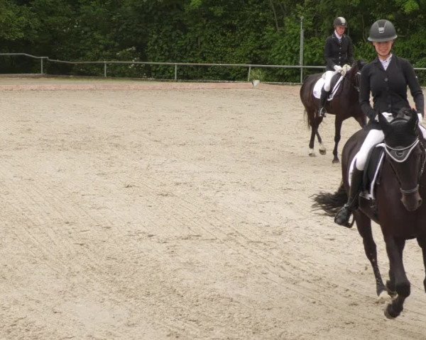 Reitturnier Leingarten 2022