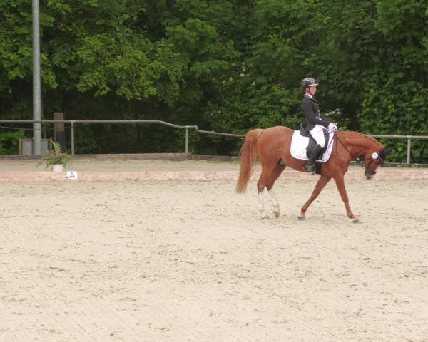 Reitturnier Leingarten 2022