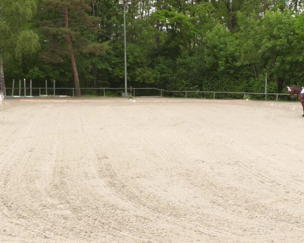 Reitturnier Leingarten 2022