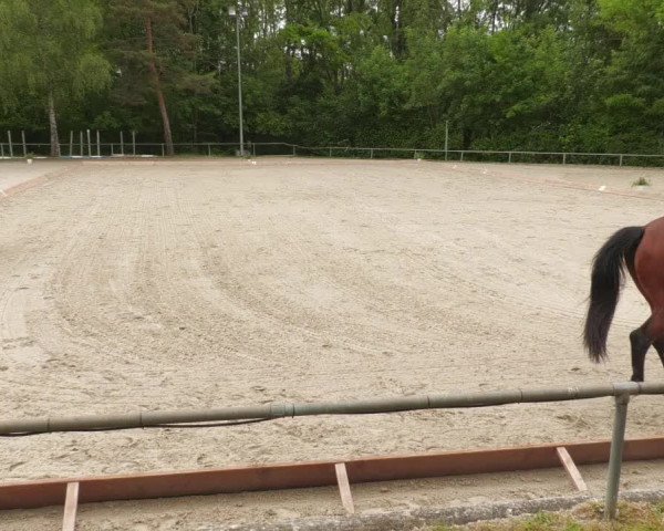 Reitturnier Leingarten 2022