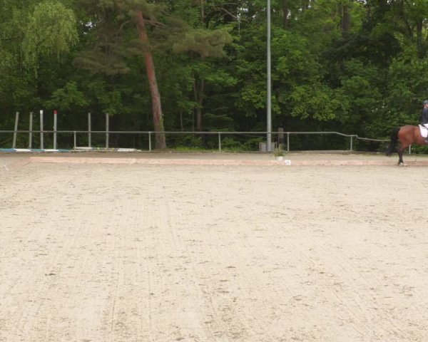 Reitturnier Leingarten 2022