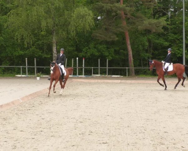 Reitturnier Leingarten 2022
