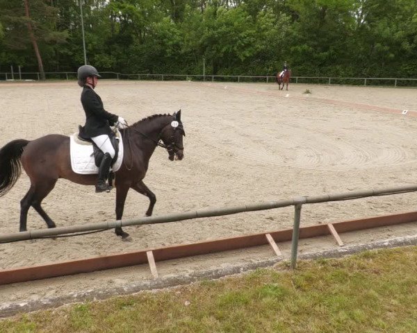 Reitturnier Leingarten 2022