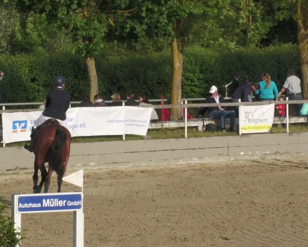 Reitturnier Billigheim 2022