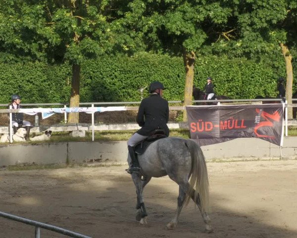 Reitturnier Billigheim 2022