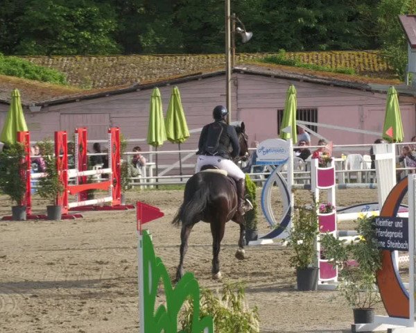 Reitturnier Billigheim 2022