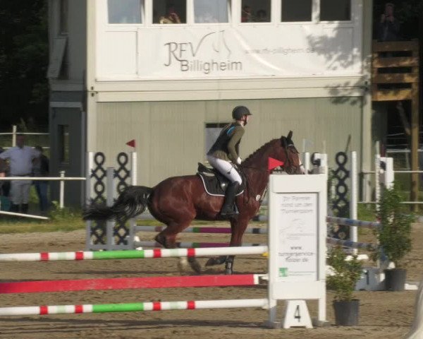 Reitturnier Billigheim 2022