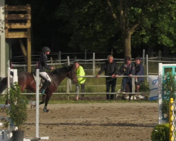 Reitturnier Billigheim 2022