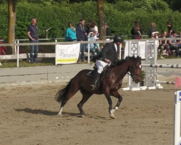 Reitturnier Billigheim 2022