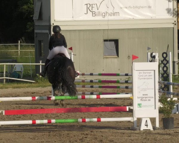 Reitturnier Billigheim 2022