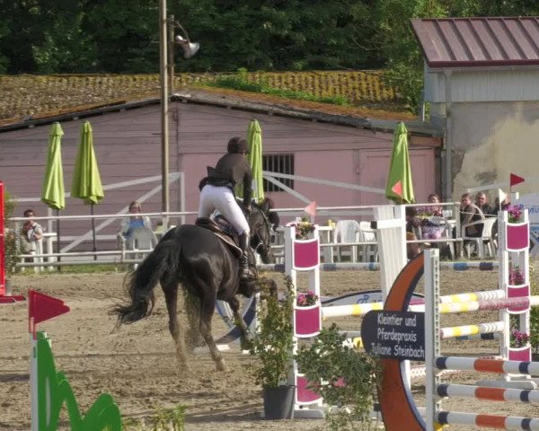 Reitturnier Billigheim 2022