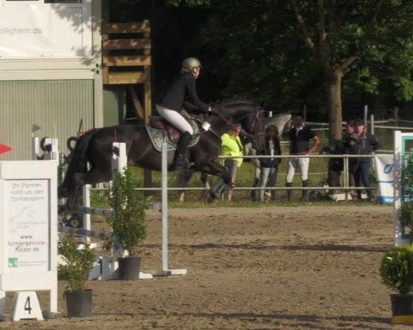 Reitturnier Billigheim 2022