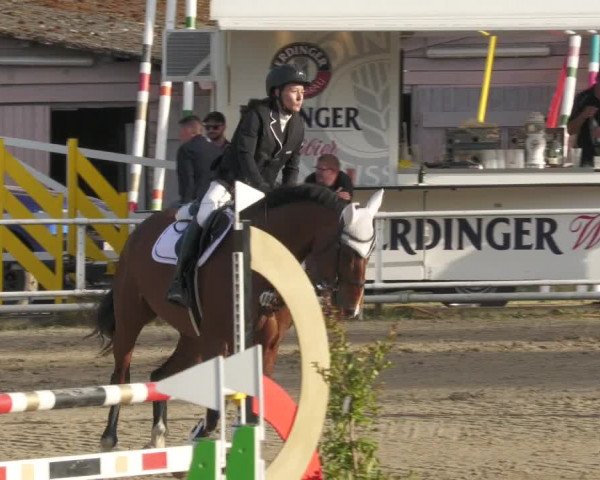 Reitturnier Billigheim 2022