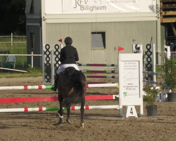 Reitturnier Billigheim 2022