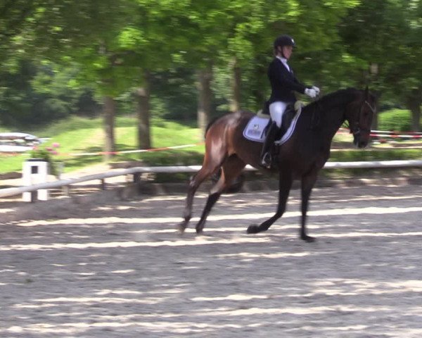 Reitturnier Hamm-Rhynern 2022