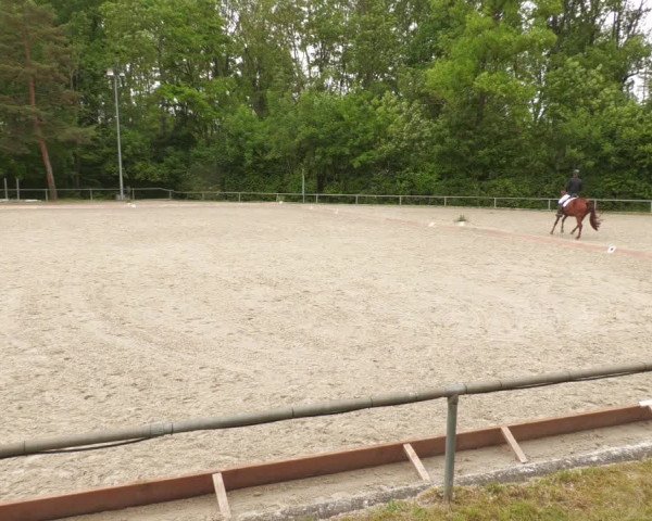 Reitturnier Leingarten 2022