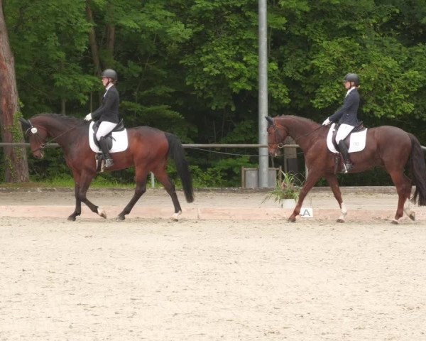 Reitturnier Leingarten 2022