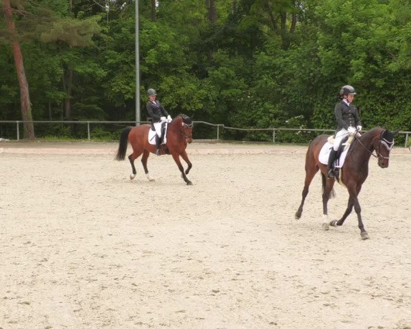 Reitturnier Leingarten 2022