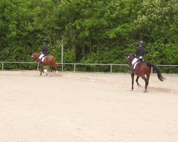 Reitturnier Leingarten 2022