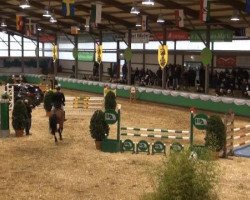 jumper Don Diego (KWPN (Royal Dutch Sporthorse), 2008, from Verdi)