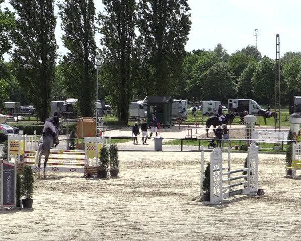Reitturnier Hamm-Rhynern 2022