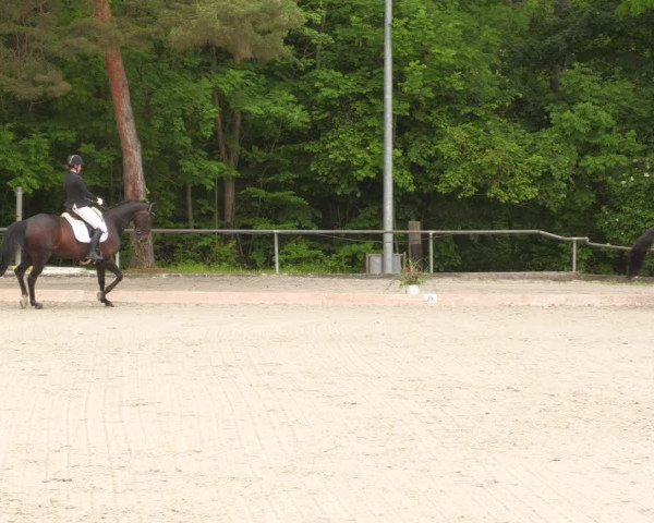 Reitturnier Leingarten 2022