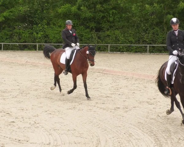 Reitturnier Leingarten 2022