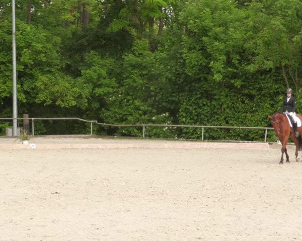 Reitturnier Leingarten 2022