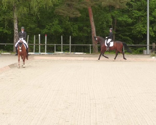 Reitturnier Leingarten 2022