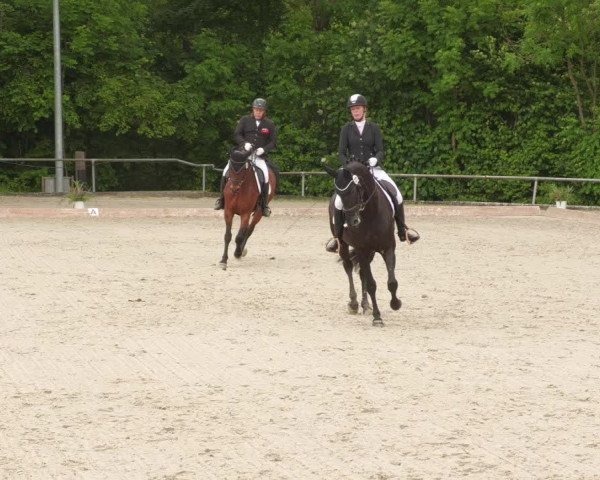 Reitturnier Leingarten 2022