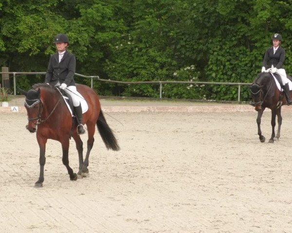Reitturnier Leingarten 2022