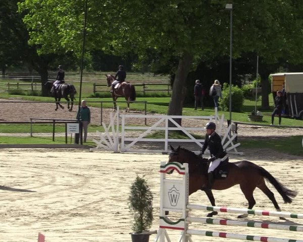 Reitturnier Hamm-Rhynern 2022