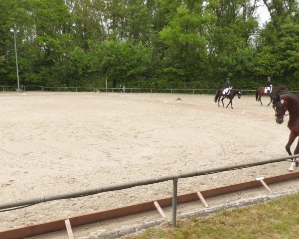 Reitturnier Leingarten 2022
