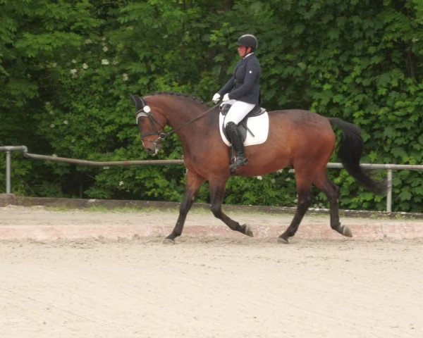 Reitturnier Leingarten 2022