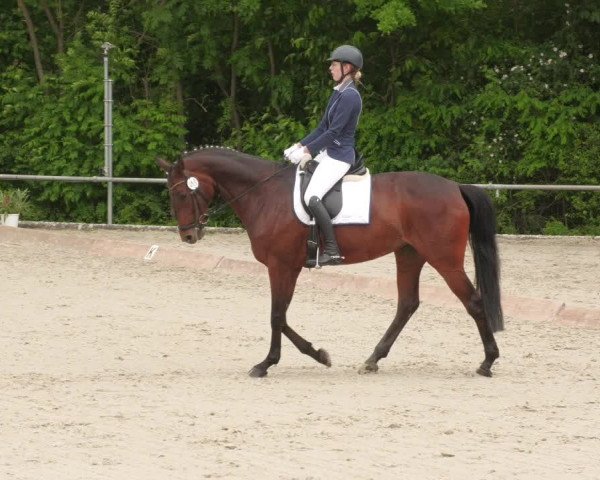 Reitturnier Leingarten 2022