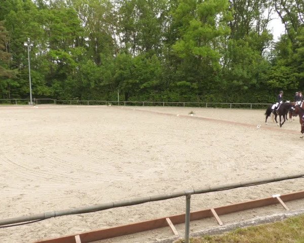 Reitturnier Leingarten 2022