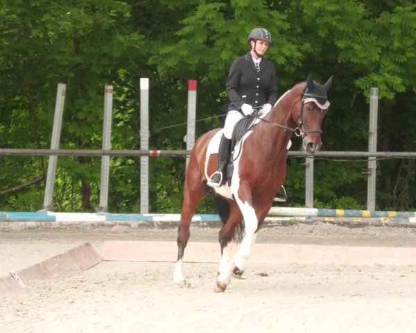 Reitturnier Leingarten 2022