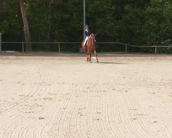 Reitturnier Leingarten 2022