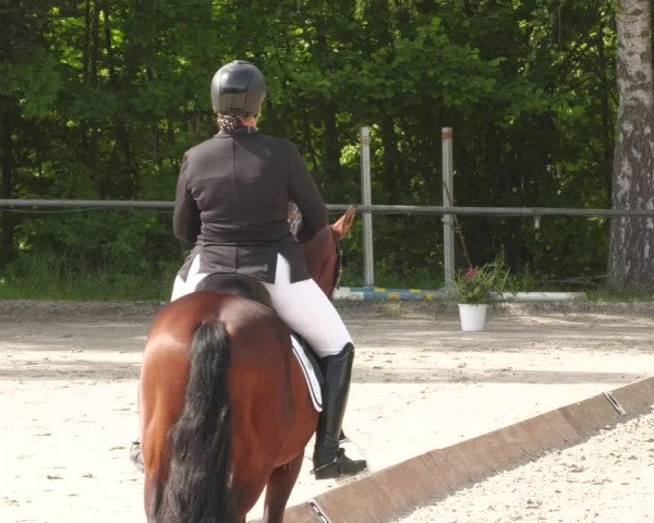 Reitturnier Leingarten 2022
