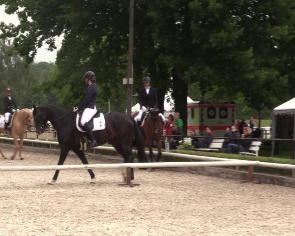 Reitturnier Hamm-Rhynern 2022
