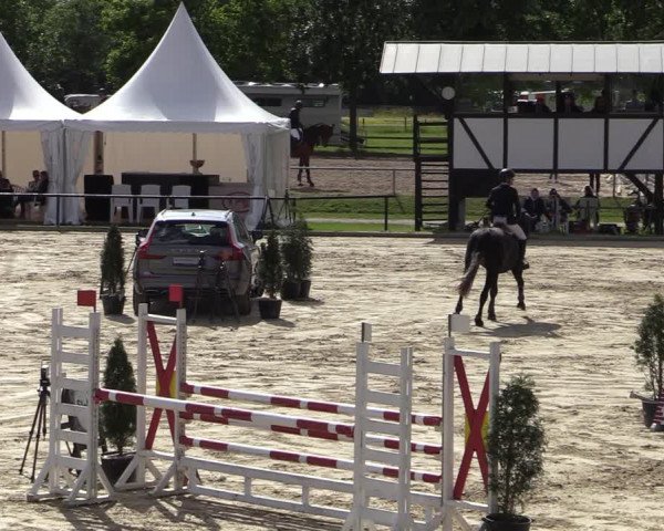 Reitturnier Hamm-Rhynern 2022