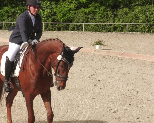 Reitturnier Leingarten 2022