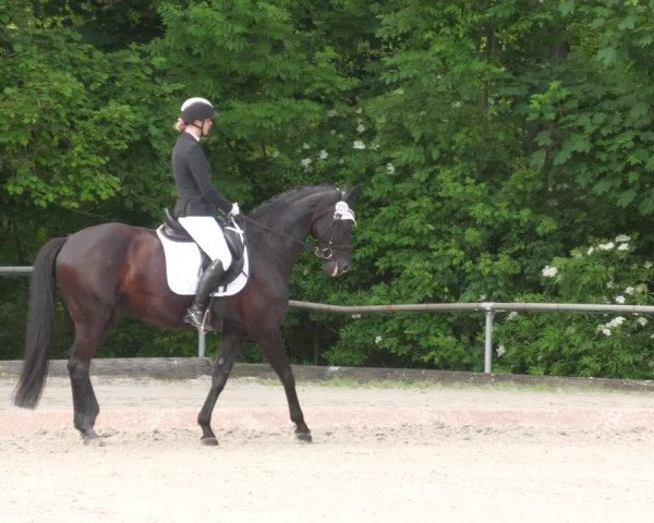 Reitturnier Leingarten 2022