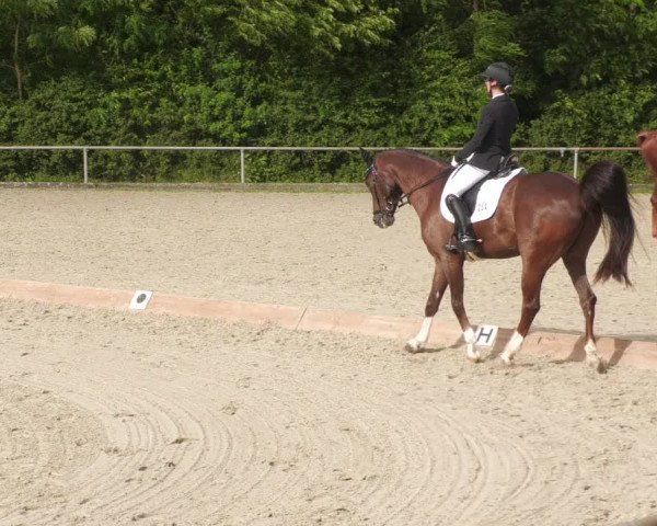 Reitturnier Leingarten 2022