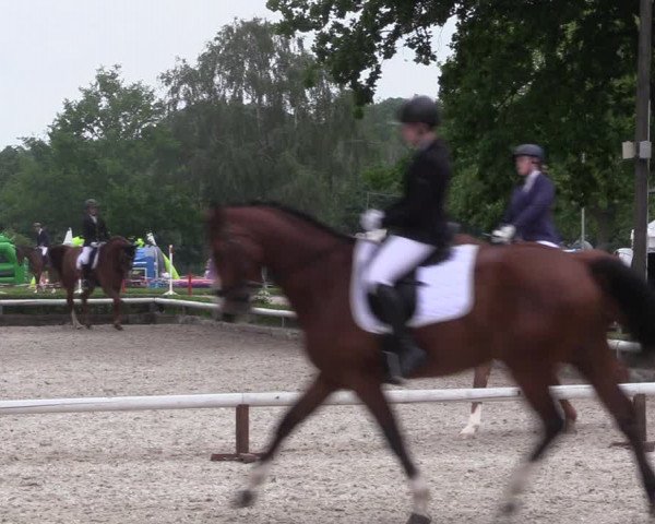 Reitturnier Hamm-Rhynern 2022