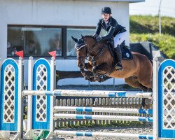 jumper Pepina 50 (Pony without race description, 2009, from Unbekannt Pony)