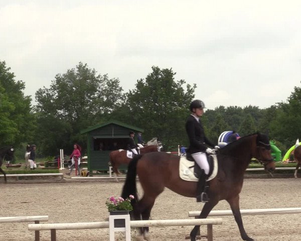 Reitturnier Hamm-Rhynern 2022