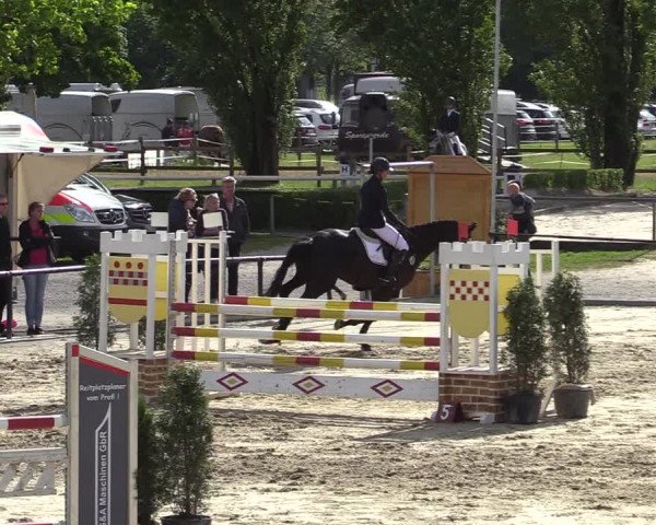 Reitturnier Hamm-Rhynern 2022