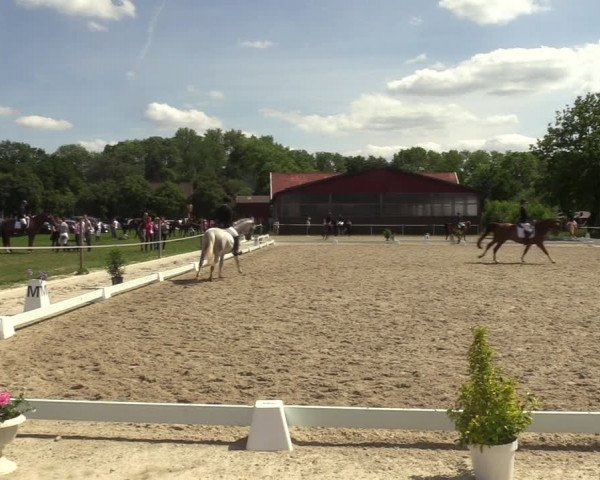Reitturnier Nienberge-Schonebeck, Reitanlage Geßmann 2022